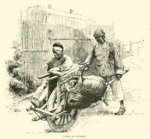 Aller au marché - American School