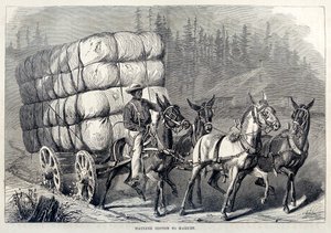 Transport de coton au marché, de Cent ans de progrès des États-Unis, pub. 1871 gravure - American School