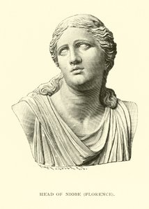 Tête de Niobé, Florence
