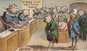 Cochon au tribunal