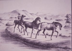 Chevaux tirant un bateau sur le canal Érié (gravure)