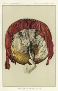 Intérieur du bouclier Set-Taintes