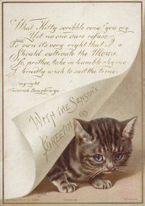Chaton caché sous une lettre - American School
