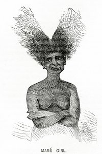 Mare Girl, illustration de Appletons Journal, 4 mai 1872 - American School