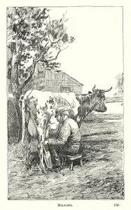 Traite (gravure)
