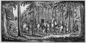 M. Hooker et sa congrégation traversant la forêt - American School