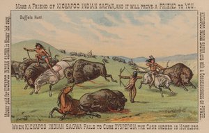 Amérindien chassant le bison - American School