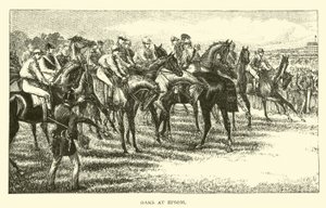 Chênes à Epsom - American School