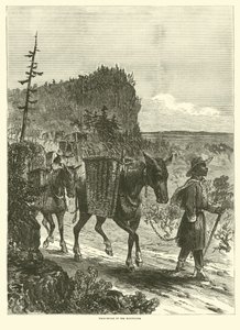 Mules de bât dans les montagnes, février 1863 - American School