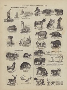 Page du Webster