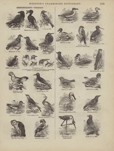 Page du dictionnaire complet de Webster (George Bell) - American School