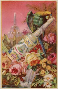 Perroquet avec une bouteille d