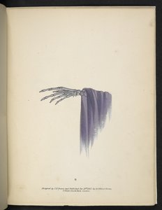 Planche 8. Une main squelettique. Spectropia; ou, Surprenantes illusions spectrales montrant des fantômes partout, et de n