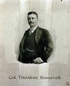 Portrait du colonel Theodore Roosevelt - American School