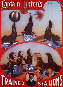 Affiche publicitaire 