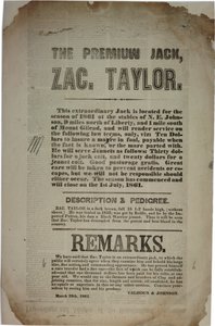 Procédures et adresse de la Convention constitutionnelle, c.19 mars 1861 - American School