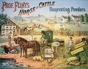 Poudres rénovatrices pour chevaux et bovins du professeur Flint, vers 1900 - American School