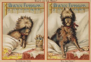 Chien malade au lit - American School