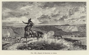 Signal de découverte ou d