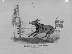 Folie des ânes du Sud