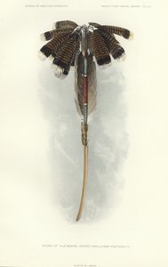 Épée de Thlewekwe (fraternité des avaleurs d
