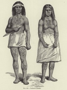 Haidas tatoués - American School