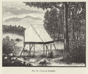 Tente sur échafaud - American School