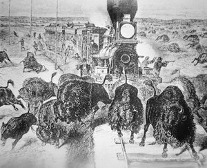Passagers du train sur le chemin de fer Kansas Pacific, tirant sur des buffles pour le sport dans les années 1870