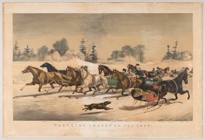 Courses de trot sur la neige