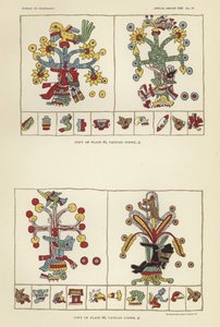 Codex Vatican - American School