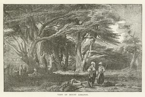 Vue du mont Liban