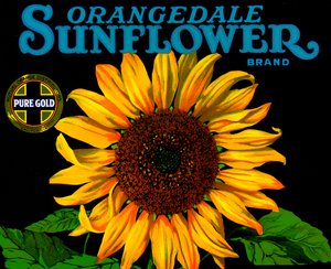 Étiquette de caisse de fruits vintage avec tournesol - American School