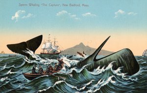 Baleiniers harponnant un cachalot au large de New Bedford, Massachusetts - American School
