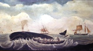 Chasse à la baleine dans le Pacifique Sud