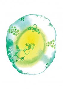 Bulles de fluide organique