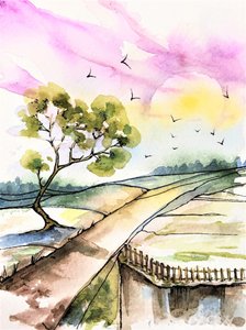 Chemin de campagne paisible