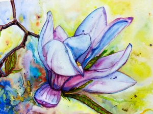 Une fleur de magnolia éclatante - Anda Bieza