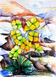Fleurs de montagne aux couleurs vives - Anda Bieza