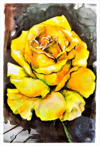 Rose jaune éclatante