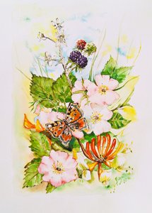 Jardin des fleurs sauvages et des papillons - Anda Bieza