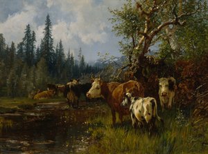 Vaches près du lac