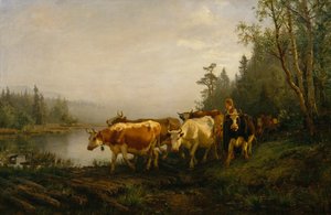 Laitière au bord du lac forestier