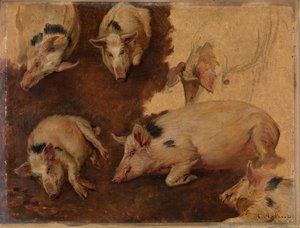 Étude de six cochons