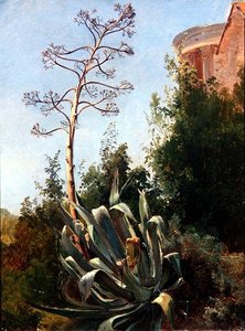 Paysage; Italie du Sud