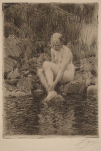  - Anders Zorn