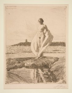 Le Cygne - Anders Leonard Zorn