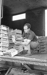 RAISINS AMERS - SUR LE WAGON DE MARCHANDISES