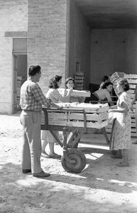 RAISINS AMERS - STOCKAGE EN ENTREPÔT