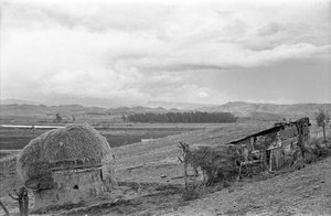 CABANE AVEC GRANGE