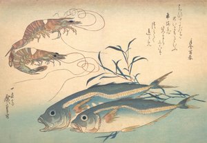 Poisson Aji et Kuruma-ebi, de la série Uozukushi Chaque variété de poisson, années 1830